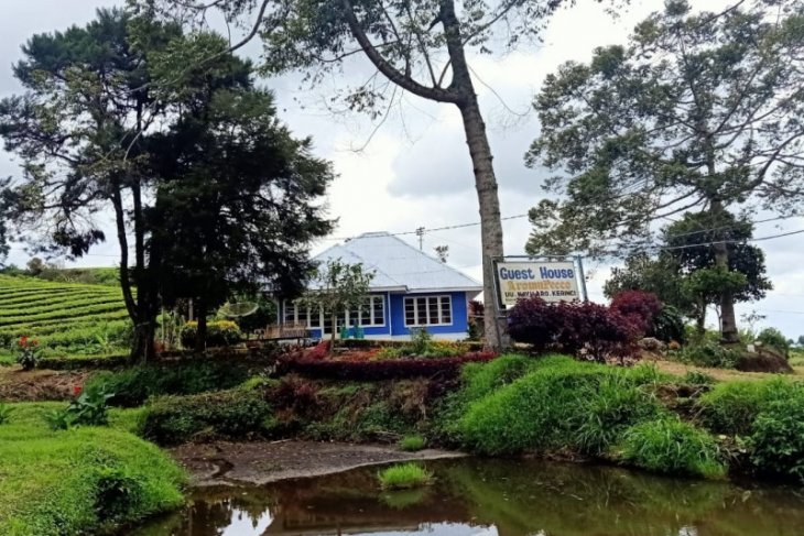 PTPN VI manfatkan aset jadi penginapan, cafe dan agro wisata