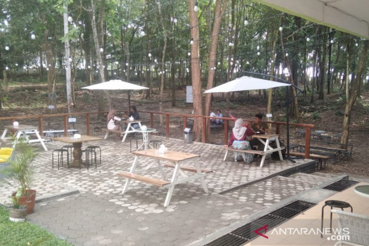 Minum kopi sekaligus melihat satwa di Ruang Hijau coffee shop