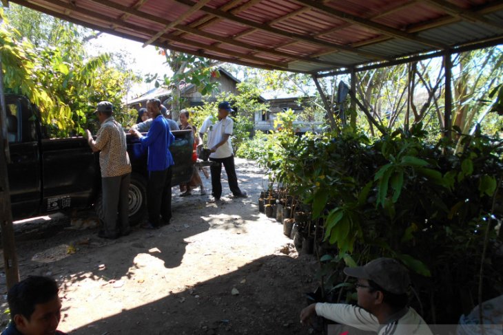 Forestry Agency responds FKH idea to restore Sungai Madang fruit center