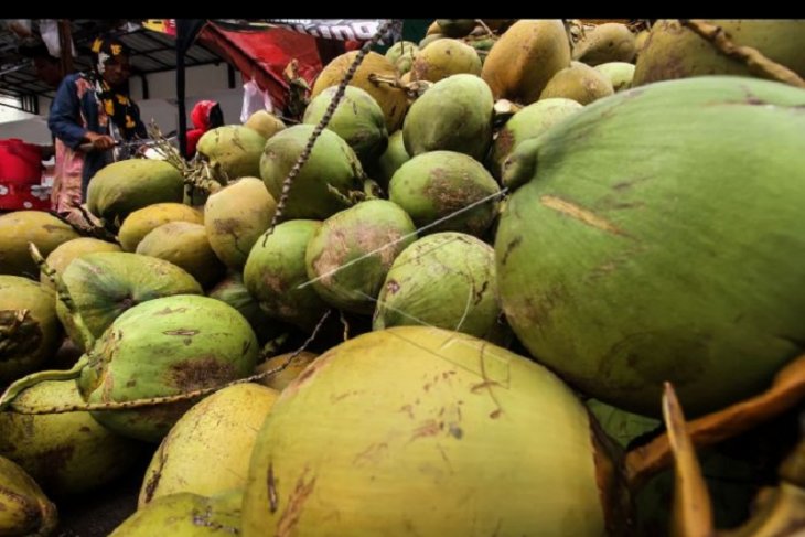 Pedagang kelapa muda meraup keuntungan selama PPKM darurat