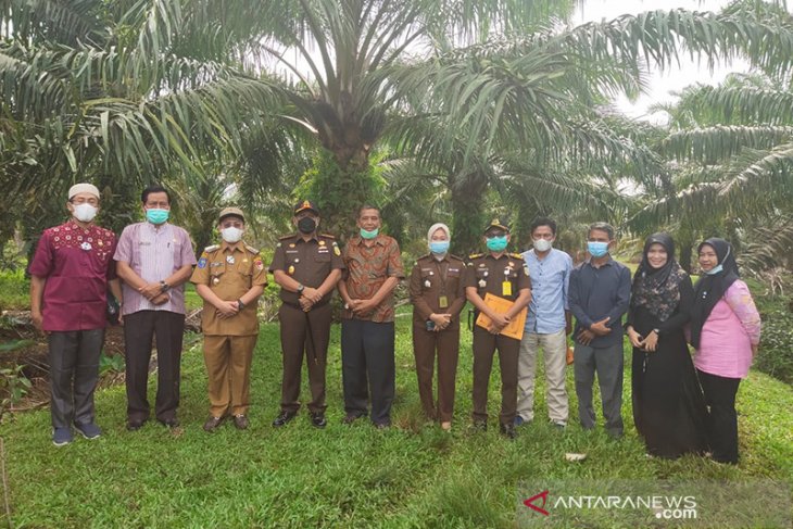 Bupati Mukomuko Tinjau Lokasi Pembangunan Alun-Alun