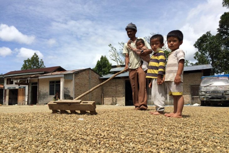 Keeping the Sumatran coffee business fragrant amid COVID-19 pandemic