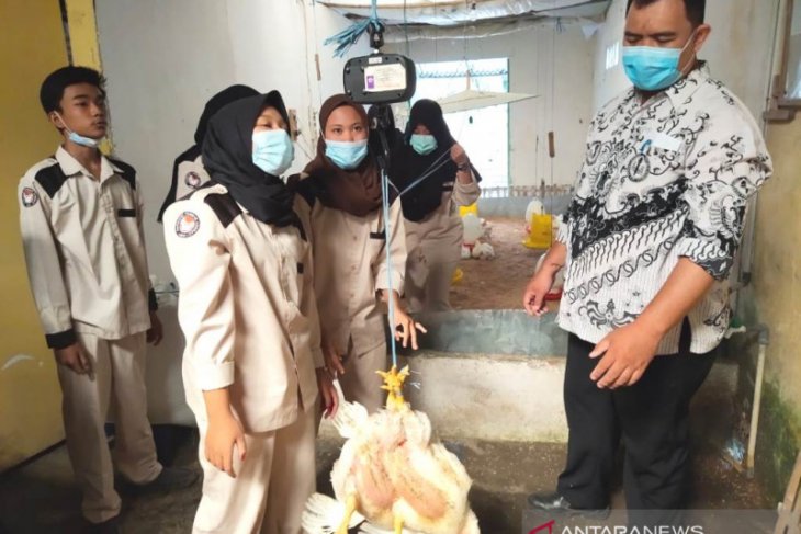 SMKN 3 Rejang Lebong kembangkan laboratorium agribisnis