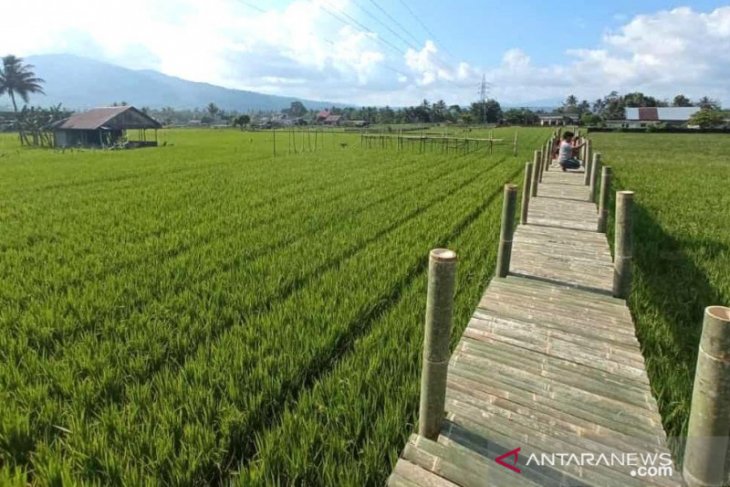 Rejang Lebong dirikan 21 desa wisata