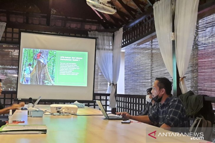 AILInst sebut perusahaan HTI manfaatkan perhutanan sosial untuk pengembangan usaha