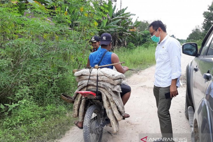 Harga karet di Kalbar saat ini bertahan di Rp22.000 per kilogram