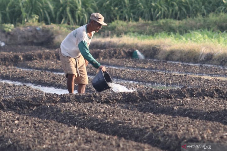 NIlai Tukar Petani Turun