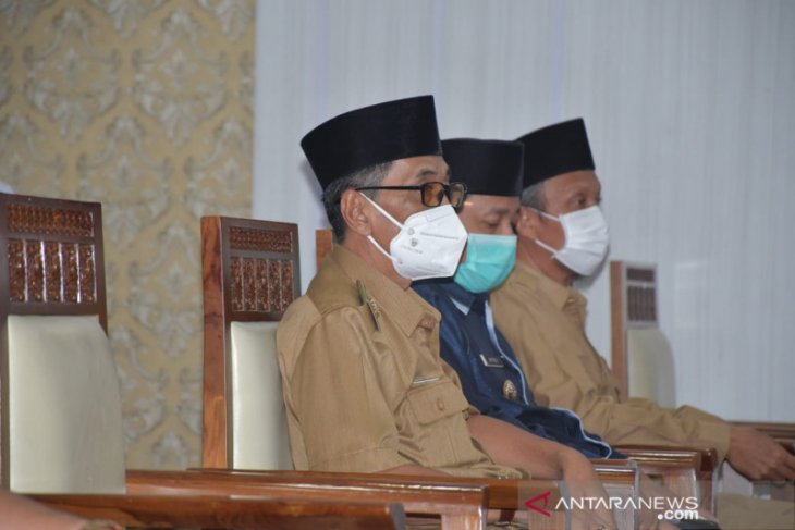 Wakil Bupati Batanghari hadiri Rapat TPID Provinsi Jambi, Batanghari siap suplai produk perikanan