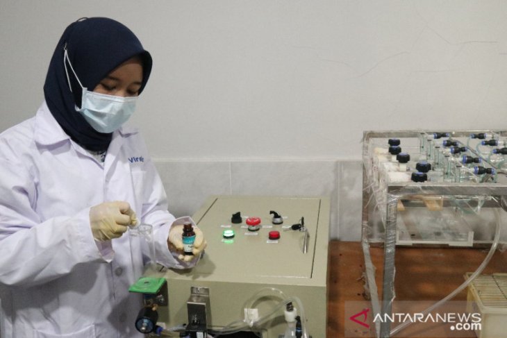 Hasil uji lanjutan eucalyptus pada virus SARS-COV-2 sangat menggembirakan