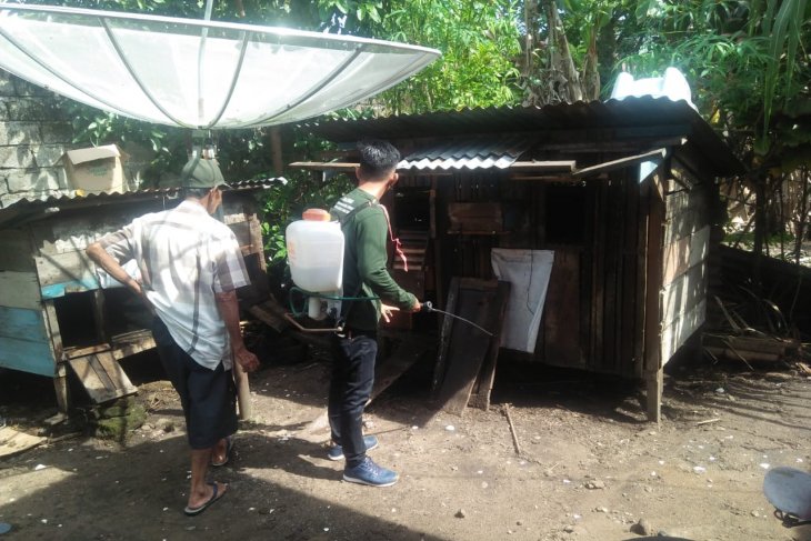 Mukomuko semprotkan disinfektan cegah penyakit tetelo