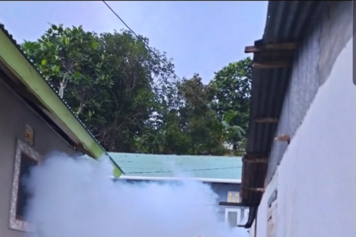 Dinkes Kasus DBD di Kota Ambon meningkat