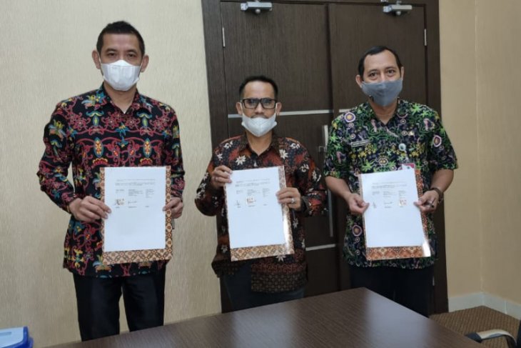 647 hektar kebun sawit di Paser segera diremajakan