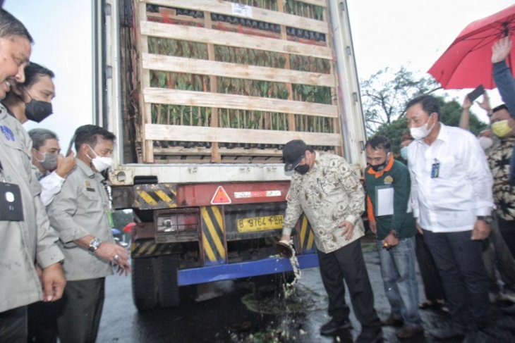 BNI gulirkan KUR untuk dukung ekspor tanaman hias