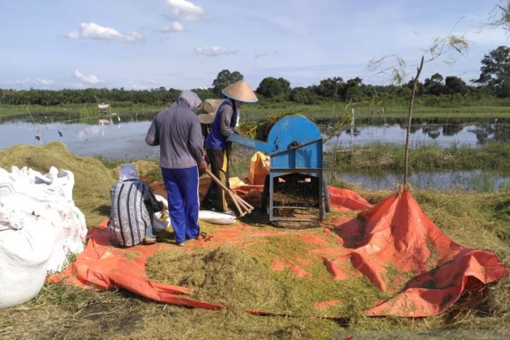 Nilai tukar petani di Jambi naik 0,10 persen