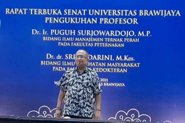 Larutan ekstrak herbal bisa hambat bakteri pada sapi perah