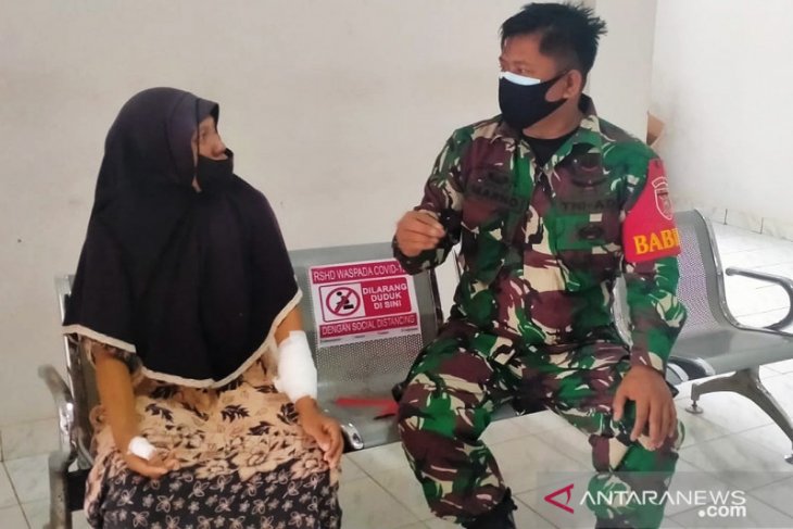 Tiga warga HST digigit anjing liar