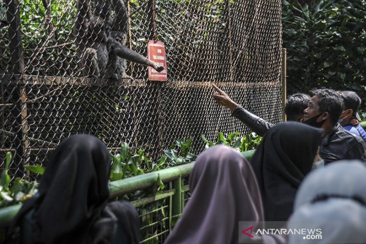 Wisata di Bandung Zoological Garden 