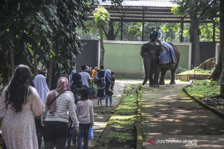Wisata di Bandung Zoological Garden 