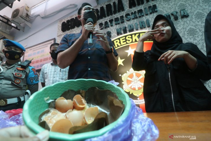 Dugaan Peredaran Telur Ayam Palsu