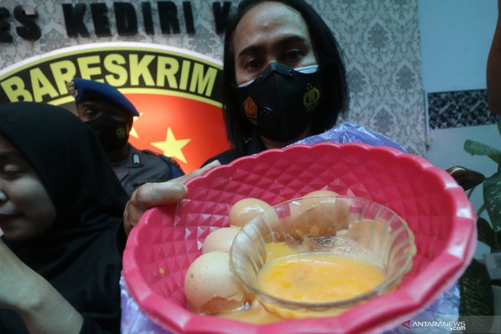 Dugaan Peredaran Telur Ayam Palsu