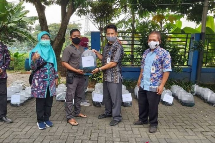 DKP Kota Tangerang distribusikan bantuan 104.000 benih lele