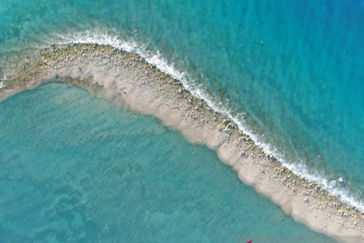 Terumbu karang di Taman Nasional Laut Sawu rusak dampak siklon seroja