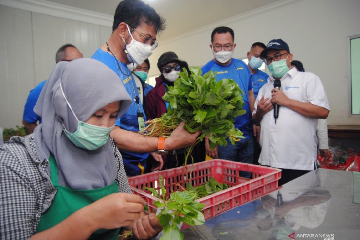 Menteri Pertanian: Realisasi produksi pangan naik
