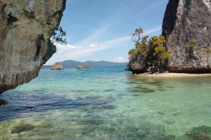 Lima wisatawan alami luka akibat jembatan ambruk di Raja Ampat