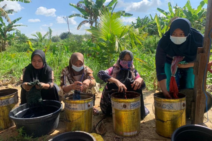 BRGM South Kalimantan encourages MSME in peat areas