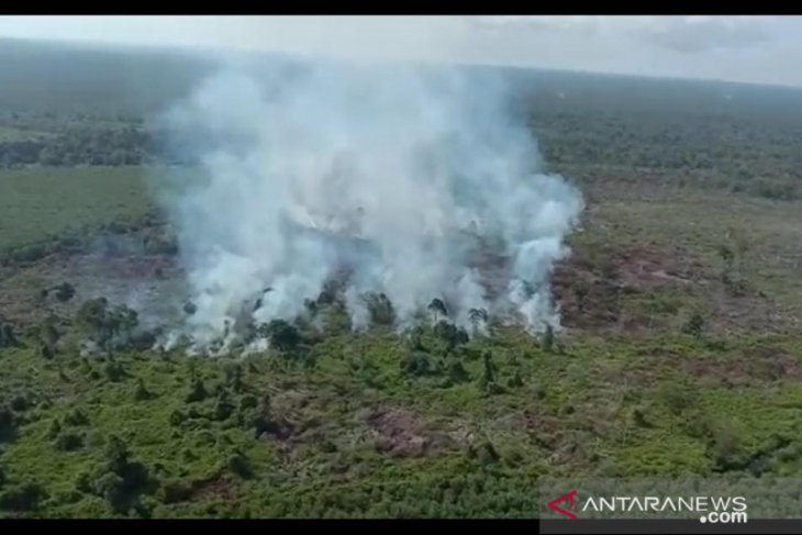 Polda Jambi kerahkan personil padamkan api di Parit Pudin Tanjab Barat