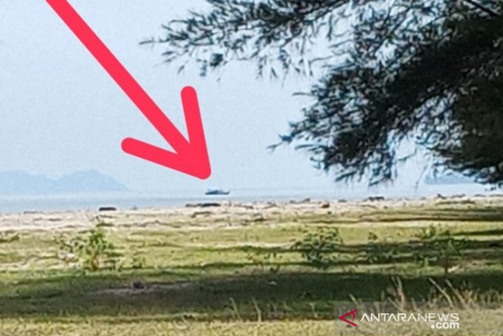Nelayan keluhkan pukat harimau bebas