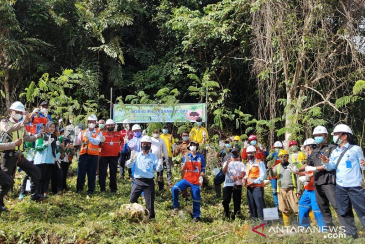 Indocement greens Lowo Cave attraction
