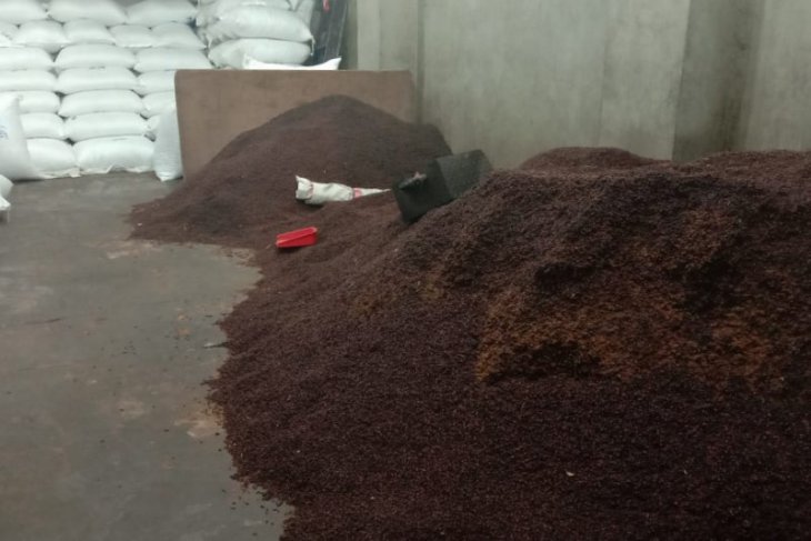 Harga cengkih di Ambon naik petani beramai-ramai jual hasil panen diapresiasi petani