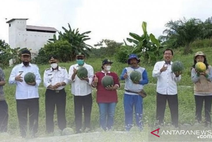 DPTPH Kaltim dorong kegiatan pertanian keluarga