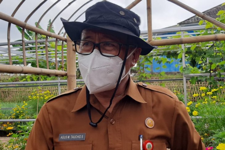 Pemprov Banten salurkan pupuk subsidi di delapan kabupaten/kota