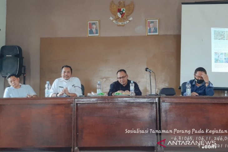 Melalui Program FMSRB, Distan dorong petani Pandeglang tanam sela tanaman porang