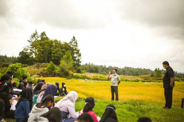 Mahasiswa Polbangtan dampingi petani di Kawasan Food Estate