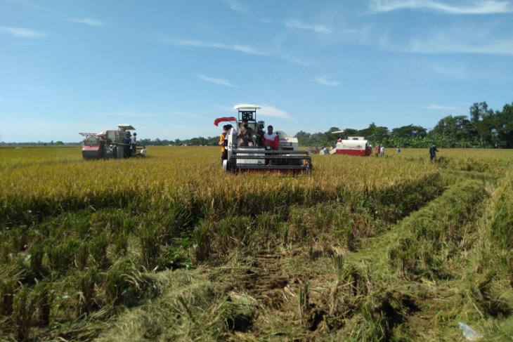 Pemkab Karawang salurkan bantuan alsintan dari Kementan ke puluhan kelompok tani