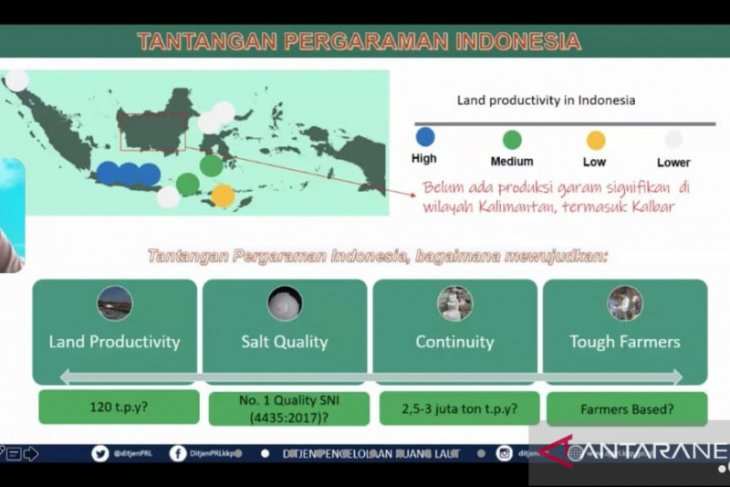 KKP dorong Perusda Kalbar ambil peran dalam ekosistem bisnis garam
