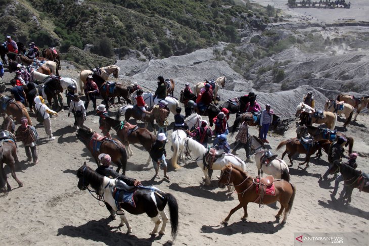 Jasa Peyewaan Kuda Bromo