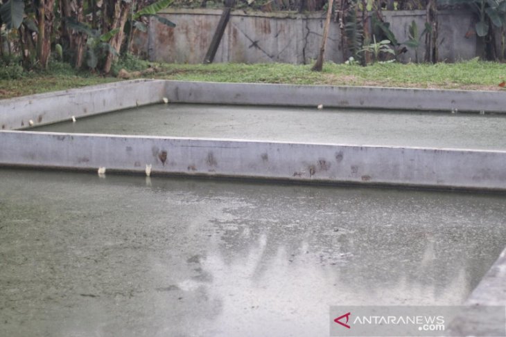 Program LLTT Kota Bogor diharapkan dapat tingkatkan kualitas hidup warga