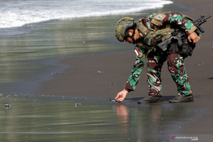 Pelepasliaran Tukik Marinir Indonesia-Amerika