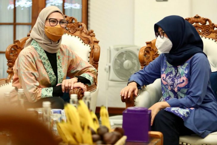 Stafsus Presiden ajak komponen masyarakat beri perhatian penyandang disabilitas