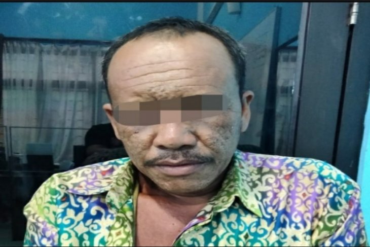 Polisi bekuk pencuri 130 janjang kelapa sawit