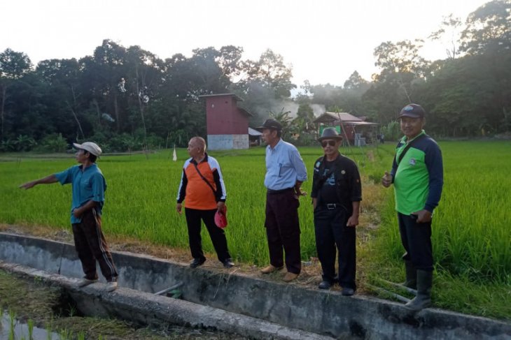 Pemkab Kapuas Hulu kekurangan tenaga penyuluh pertanian