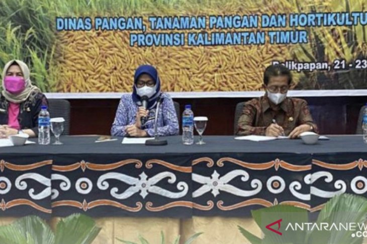 DPTPH Provinsi Kaltim kembangkan padi varietas unggul