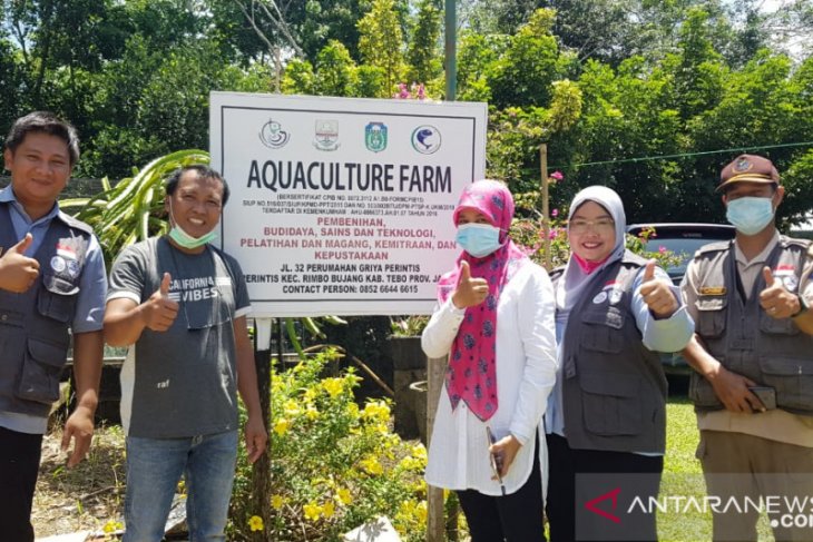 Pustina Jambi menembus final inovasi pelayanan publik