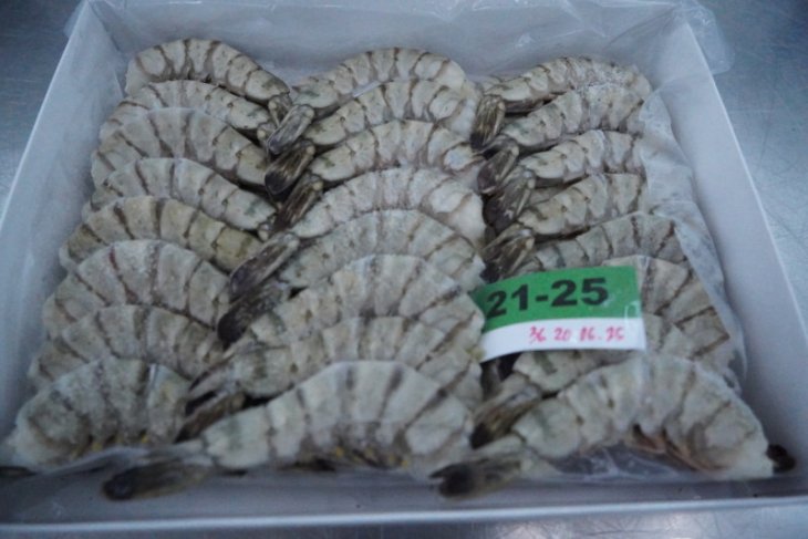 KKP yakin udang asal Indonesia bisa dominasi pasar AS