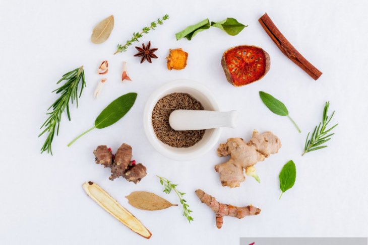 BPOM: herbal untuk terapi tambahan pasien COVID-19 masih diteliti