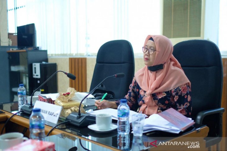 Bkd Kalsel Diharapkan Perluas Informasi Seleksi Cpns Dan Pppk Antara News Kalimantan Selatan